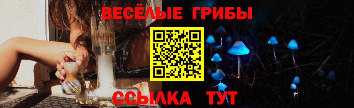 Губкинский  Псилоцибиновые грибы ЛСД  Вход с VPN 